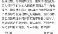 最新重庆爆料消息今天,揭秘今日热点事件背后的真相