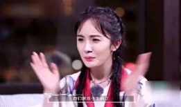 杨幂爆料金瀚视频大全集,揭秘明星幕后故事与情感纠葛